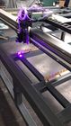 UV επίπεδης βάσης Engraver λέιζερ, υφαντική μηχανή χάραξης 405nm δίοδος λέιζερ